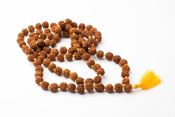 Why Is Everyone Talking About 14 Mukhi Rudraksha Bannerghatta Road and Should You Care? 14 Mukhi Rudraksha Bannerghatta Road