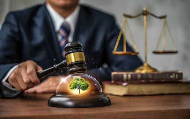 Why Is an Environmental Compliance Lawyer Important for Businesses? Environmental compliance lawyer